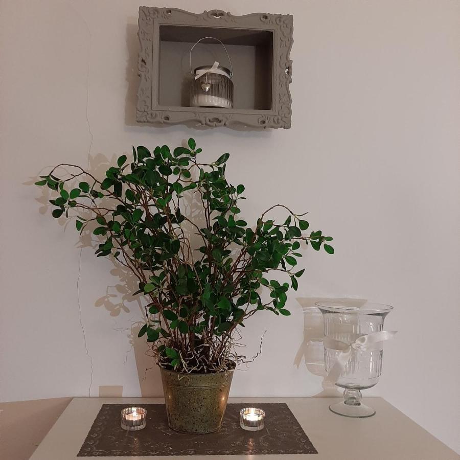 Apartment Lautus Maribor Eksteriør billede